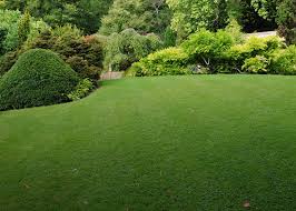 The front yard is your home's calling card. Lawn Landscape Specialists In Bowie Md