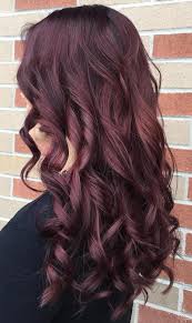 20 Magical Mahogany Hair Color Ideas