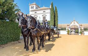 Noun  countable  / ˈeɪkər/. Re Locate To This 376 Acre Spanish Estate With Horses Carriages And A 15 Bedroom House Horse Hound