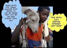 Befunky is a uniquely powerful online photo editor. Ethiopian Funny Jokes