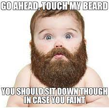 Pin On Beard Memes