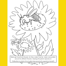Bee And Flower Pollinator Coloring Page In 2020 Pollination Bee On Flower Bee