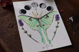 Luna Moth Thigh Tattoo There I Was Adding The Finishing Touches And Then I Notice I Ve Only Gone And Messe Lunar Moth Tattoo Luna Moth Tattoo Moth Tattoo