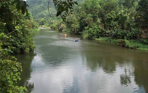 Wild Elephants in Kalu Oya Wilderness
