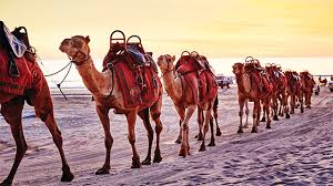 Selleks, et paremini vaadata asukohta ships of the desert asuvatele tänavatel: Local S Guide Broome Western Australia Holidays The Nrma