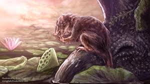 Image result for Oldenlandia goreensis