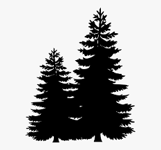 Tree silhouette pine stock photos and images. Clip Art Portable Network Graphics Pine Tree Image Pine Tree Line Silhouette Hd Png Download Transparent Png Image Pngitem