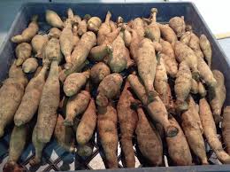 Dig your dahlia tubers up in. Helpful Tips For Dahlia Care In Winter Dahlia Barn