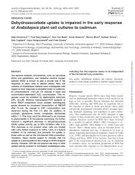 We did not find results for: Pdf Dehydroascorbate Uptake Is Impaired In The Early Response Of Arabidopsis Plant Cell Cultures To Cadmium