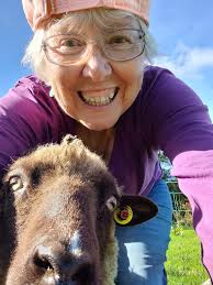 Gina Lovegrove sent us this photo of Isla meeting one of our rams