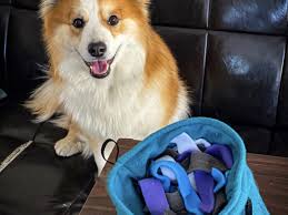 Matching Large Snuffle Donut and Snuffle Bag Set Unique Handmade Gifts for  Pet Owners, Puzzle Feeder Cat, Ferret Bed, Sugar Glider Pouch