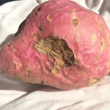 The edible skins can be a little dry and tough after baking. Chew On This The Tale Of The Roughed Up Sweet Potato Eat Or Toss