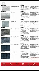 Pin By Jasmine Fay On Hair Matrix Hair Color Hair Color Formulas Matrix Hair