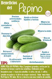 We did not find results for: Pepino Beneficios Consejos De Nutricion Frutas Y Verduras Beneficios Recetas Para La Salud