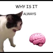 Why Is it always thinking Meme Generator - Imgflip