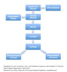 Hepatitis C Natural History Wikidoc