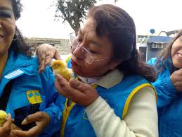 Candidata es conocida como la “mamá pollito” por regalar crías de ave a  votantes