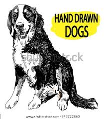 Maybe you would like to learn more about one of these? Services Fairytails Pet Sitting Dog Walking San Antonio Dog Sitting Png Stunning Free Transparent Png Clipart Images Free Download