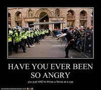 Cacti are succulents, but not all succulents are cacti. Have You Ever Been So Angry That You Image Gallery Sorted By Comments List View Know Your Meme