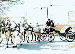 We did not find results for: Mil Anuncios Com Alquila Carroza De Caballos Para Bodas