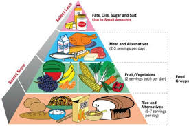 A Balanced Diet Peak Muscle Nutrition