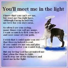 Prayer for animal burial eternal spirit, we bring you our grief in the loss of name of animal and ask for courage to bear it. 28 Dogs Prayers For Loss Ideas Dogs Dog Quotes Pet Loss