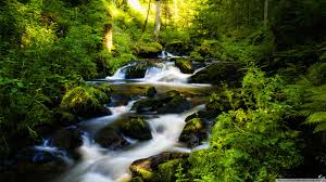 Image result for creek