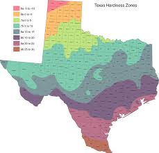 Texas Maps Perry Castañeda Map Collection Ut Library Online