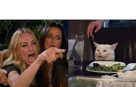 Woman Yelling At A Cat Template 2 Woman Yelling At A Cat Funny Cat Memes Woman Meme White Cat Meme