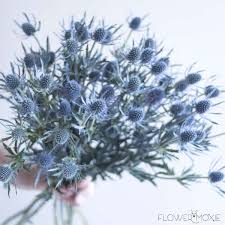 Maybe you would like to learn more about one of these? Thistle Diy Flowers Diy Bride Diy Wedding Diy Bridal Bouquet Blue Flower Spiky Flower Wedding Flowers Diy Bridal Bouquet Wholesale Flowers Wedding