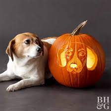 Using the ideas above, you can create your own stencil. 24 Free Pumpkin Carving Stencils Of Favorite Dog Breeds Better Homes Gardens