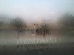 The fog is dense enough to be illuminated by light that passes through gaps in a structure or tree, but thin enough to let a large quantity of that light pass. Uae Weather Fog And Mist Formation In Parts Of Abu Dhabi Weather Gulf News