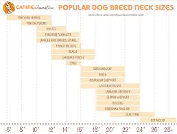 What Is Your Dog Breeds Average Neck Size And Weight