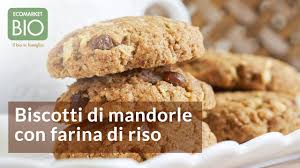 We did not find results for: Biscotti Di Mandorle Con Farina Di Riso Ecomarketbio Youtube