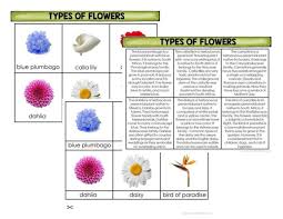 In this article, we shall discuss the different types of flowers with pictures and specialities to broaden our. Types Of Flowers Nature Curriculum In Cards