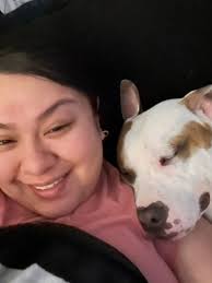 Buddha. 6 month old Pocket Bully. Gentle giant. His head is bigger than my  future. Southampton UK