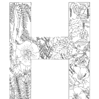 These free printable winter animal coloring pages for adults are the perfect way to relax on a long, dark winter night! Plant Alphabet Letter H Coloring Pages Surfnetkids