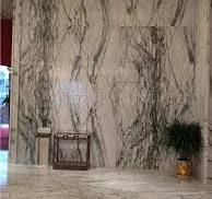 China Clivia Marble Polished Walling Tiles, Machine Cutting Slab,Clivia  White Marble Green Veins for Hotel Lobby Floor Covering Pattern from China  - ...