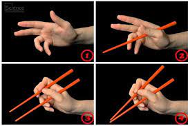 Check spelling or type a new query. 7 How To Hold Chopsticks Ideas Chopsticks How To Hold Chopsticks Dining Etiquette