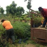 Minit mesyuarat majlis perbandaran : Photos At Nursery Majlis Perbandaran Hang Tuah Jaya
