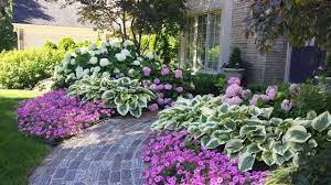 Annabelle Or Incrediball Hydrangea Forum Gardenweb Front Yard Landscaping Design Hydrangea Landscaping Yard Landscaping