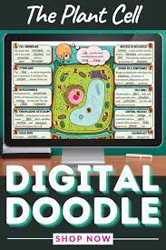 Plant Cell And Organelles Digital Doodle Science Digital Doodles Video Video Plant Cell Plant Cell Organelles Organelles