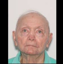 Missing grandmother may have been swallowed by sinkhole while looking for  her cat