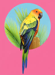 Sun Conure Parrot Art Print By Nelida Zubia X Small In 2020 Parrots Art Parrot Painting Bird Art