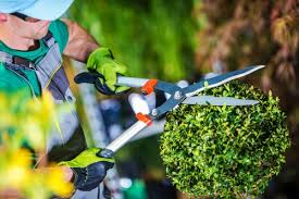 How your garden looks can set the tone for your home and be a source of pride. Gardening Companies In Dubai Garden Maintenance Dubai