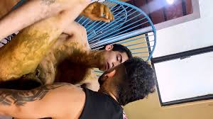 Chicos porno Scat gay - ThisVid.com