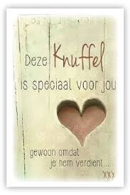 Deze Knuffel Is Speciaal Voor Jou Gewoon Omdat Je Hem Verdient Teksten Verjaardagskaart Citaten Grappige Teksten