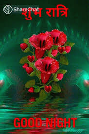 Https Encrypted Tbn0 Gstatic Com Images Q Tbn And9gcsv0vf Xa9q3ptiixuh9n2ifrrg3fqri5daaa Usqp Cau