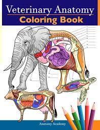 Anatomy and physiology coloring workbook page 122 murderthestout. Veterinary Anatomy Coloring Book Animals Physiology Self Quiz Color Workbook For Studying And Relaxation Perfect Gift For Vet Students And Even Adults Academy Anatomy 9781838188603 Amazon Com Books