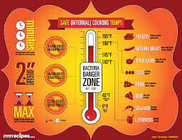 32 Unusual Safe Meat Cooking Temperatures Chart